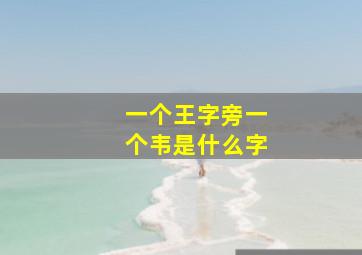 一个王字旁一个韦是什么字