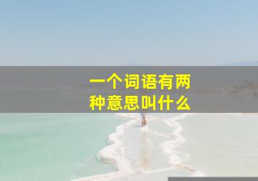 一个词语有两种意思叫什么