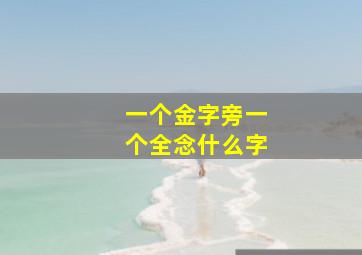 一个金字旁一个全念什么字