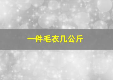 一件毛衣几公斤