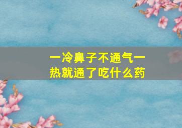 一冷鼻子不通气一热就通了吃什么药