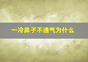 一冷鼻子不通气为什么