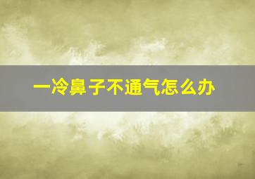 一冷鼻子不通气怎么办