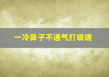 一冷鼻子不通气打喷嚏