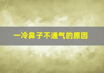 一冷鼻子不通气的原因