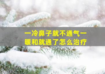 一冷鼻子就不通气一暖和就通了怎么治疗