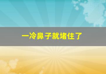 一冷鼻子就堵住了