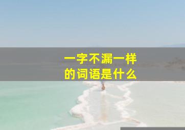 一字不漏一样的词语是什么