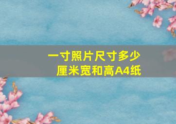 一寸照片尺寸多少厘米宽和高A4纸