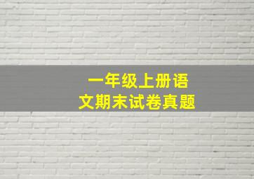 一年级上册语文期末试卷真题