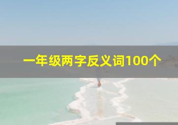 一年级两字反义词100个