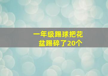 一年级踢球把花盆踢碎了20个