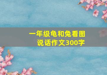 一年级龟和兔看图说话作文300字