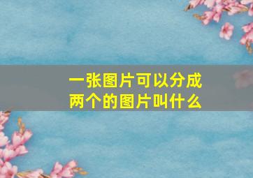 一张图片可以分成两个的图片叫什么