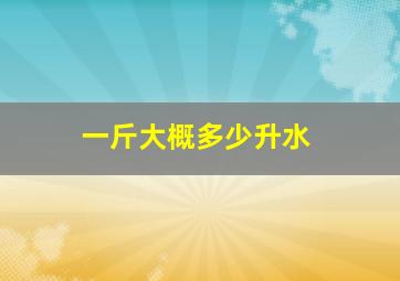 一斤大概多少升水