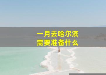 一月去哈尔滨需要准备什么