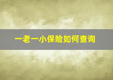 一老一小保险如何查询