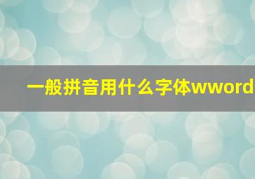 一般拼音用什么字体wword