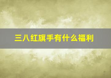 三八红旗手有什么福利