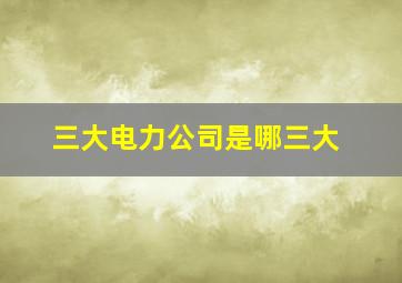 三大电力公司是哪三大