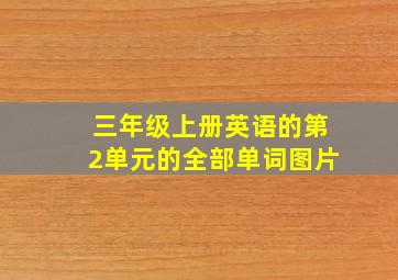 三年级上册英语的第2单元的全部单词图片