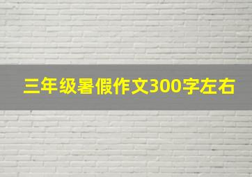 三年级暑假作文300字左右