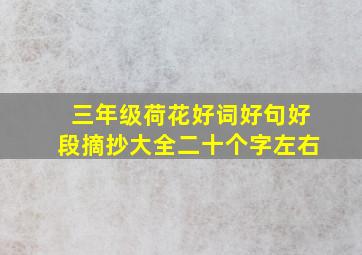 三年级荷花好词好句好段摘抄大全二十个字左右