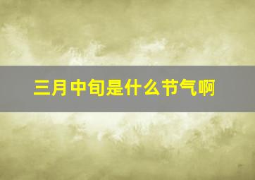 三月中旬是什么节气啊