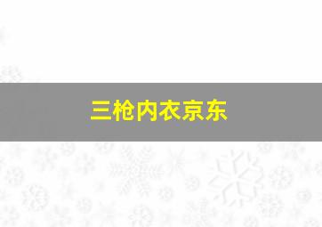 三枪内衣京东