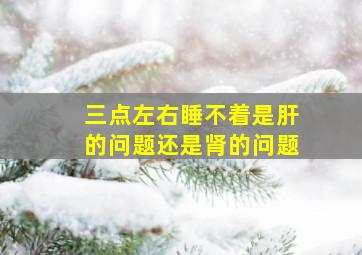 三点左右睡不着是肝的问题还是肾的问题