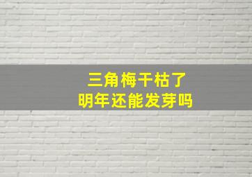 三角梅干枯了明年还能发芽吗