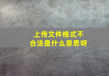 上传文件格式不合法是什么意思呀