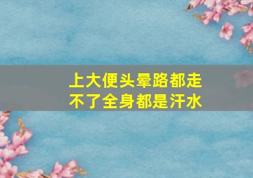 上大便头晕路都走不了全身都是汗水