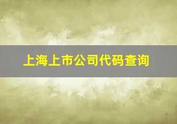 上海上市公司代码查询