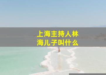 上海主持人林海儿子叫什么