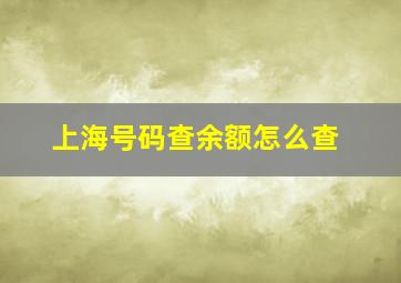 上海号码查余额怎么查