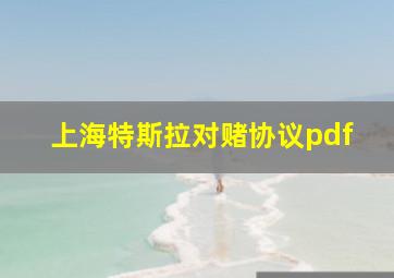 上海特斯拉对赌协议pdf