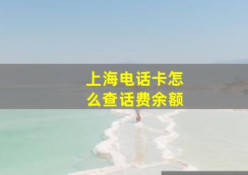 上海电话卡怎么查话费余额