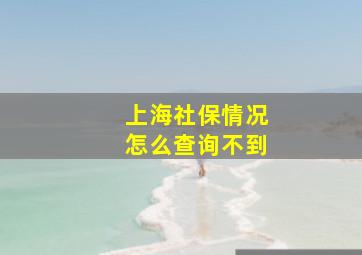 上海社保情况怎么查询不到