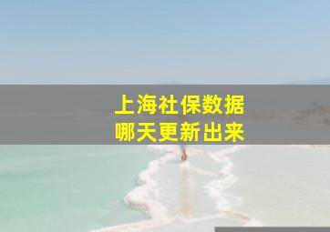 上海社保数据哪天更新出来