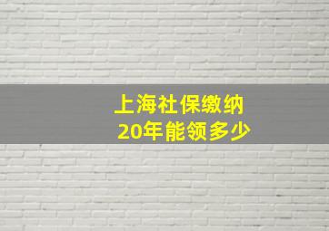 上海社保缴纳20年能领多少