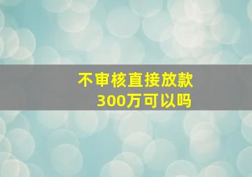 不审核直接放款300万可以吗