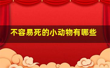 不容易死的小动物有哪些