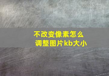 不改变像素怎么调整图片kb大小