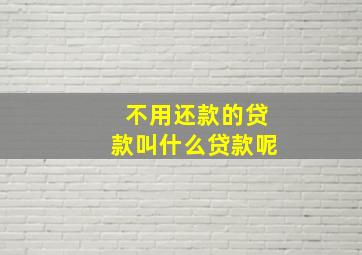 不用还款的贷款叫什么贷款呢