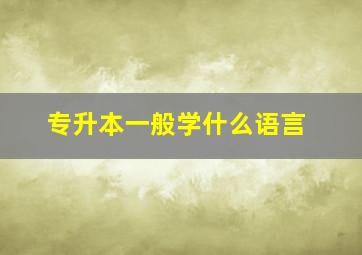 专升本一般学什么语言