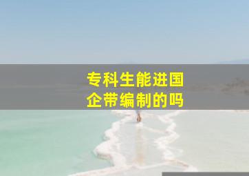 专科生能进国企带编制的吗