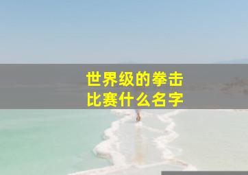 世界级的拳击比赛什么名字