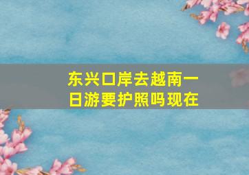 东兴口岸去越南一日游要护照吗现在