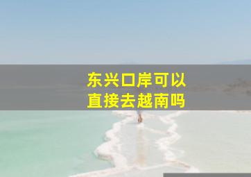 东兴口岸可以直接去越南吗